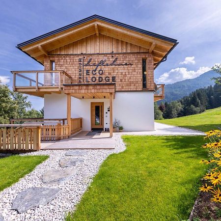 Hoeflehner Premium Eco Lodge Haus im Ennstal Ngoại thất bức ảnh